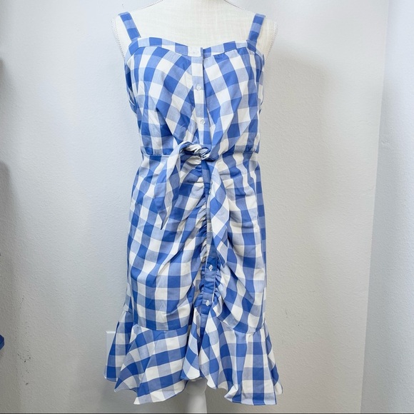 Likely Gingham Blue Mini Dress - Picture 3 of 13